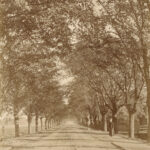 Der Weg nach Stapelholm, Herbst 1892